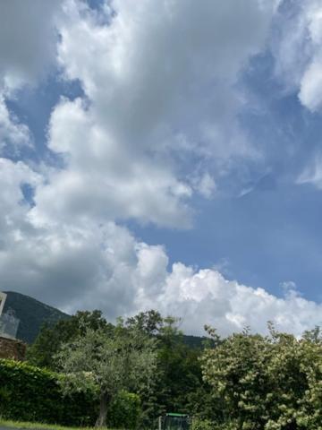 La Casa In Collina Apartment คาปริโน เวโรเนเซ ภายนอก รูปภาพ